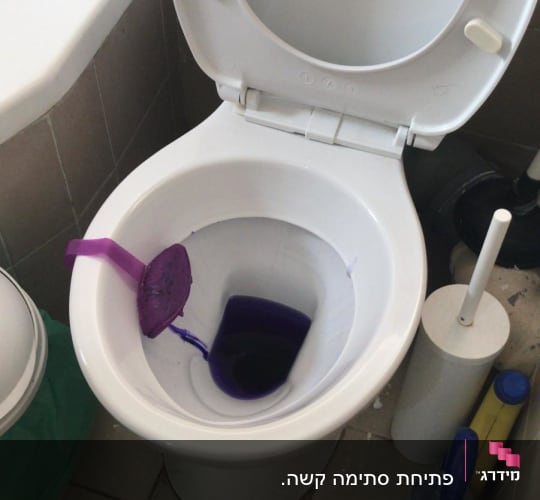 אסלה עם חומר ניקוי סגול ומברשת שירותים
